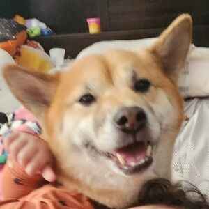 Private listing for bri